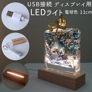 USBڑ fBXvCp ؐ LEDCgidFjy ŒZ 11cm   n[oE Ɩ ANX^  nhCh