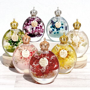 yő50%It X[p[SALEz yꖳz̓ n[oE `[t VR΂ Mtg ̓ n[oE  bZ[W O ؐMtg   