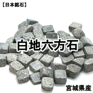 yXSi15%ItN[|z y{΁z nZ 100g pbP[Wt  ʈS aC (Z[ΏۊO)