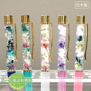 ̓ 2025 n[oE {[y pP[X t J / [֑ ̓ v[g 2025 Mtg  CeA G ̓Mtg j   40 50 60