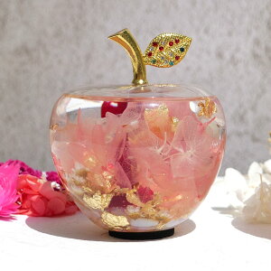 yCz ̓ 2025 n[oE Abv Mtg{bNX t S /  ̓ 2025 Mtg  CeA G ̓Mtg j j   40 50 60