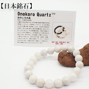 y{΁zЍH@uXbg@Ɍ̂됅@A(20) {΋F̔@J[ht