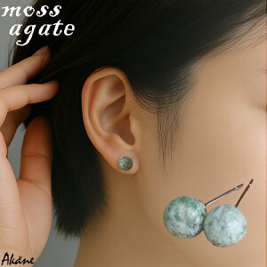 XAQ[g X^bhsAX VR ChY {  p[Xg[  R Ԃ i` JWA fB[X Mtg v[g Vv T[WJXeX A