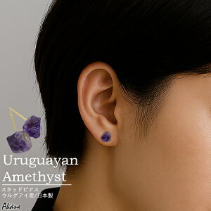 EOACAWXg X^bhsAX VR 2a EOACY { p[Xg[ ANZT[ nhCh fB[X i Vv tH[} JWA Mtg T[