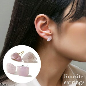 Nc@Cg uWY tJbg SUS316|Xg T[WJXeX X^bhsAX p 1yA AM[Ή А