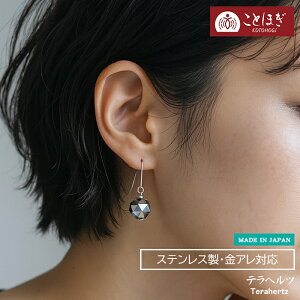 yő50%It X[p[SALEz ewctbNsAX VR sAX Y fB[X tbNsAX  N NXg[ T[WJXeX SUS316 ×pXeX AΉ 