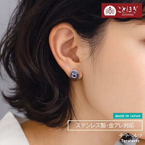 yő50%It X[p[SALEz ewcX^bhsAX VR sAX Y fB[X X^bhsAX  N NXg[ T[WJXeX SUS316 ×pXeX A