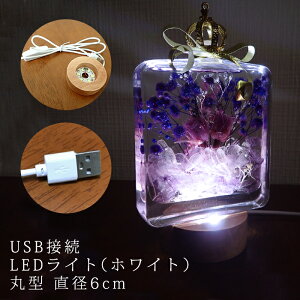 USBڑ ؐ (a6cm 8cm 10cm ) LEDCg ON/OFF XCb`t n[oE  Xe[W ]  ~ ~` ی^ X^h Ɩ  {g ANX^