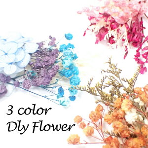 yő50%It X[p[SALEz fRp[cy56. hCt[ 3FzA\[g hCt[ l  n[oE Jt Zbg A\[g Lbg n[oE{[y i A