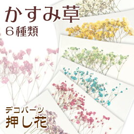 【10%OFFクーポン あり】デコパーツ【70.押し花 かすみ草】 ドライフラワー カスミソウ レッド ピンク 水色 ブルー 紫 パープル カラフル セット アソート レジン 貼り絵 ハーバリウム 真空パック アクセサリー 花材 材料 素材