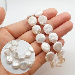 yCz y106. Wp[ r[Y RC 11mmz1i#29j W obN p[ VR W^ VR΃r[Y p[Xg[ f ޗ Y2K