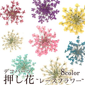 デコパーツ【44. 押し花 レースフラワー】 花 ドライフラワー 小さめ 小さい 押し花ネイル レッド ピンク ブルー パープル セット レジン ハーバリウム ネイル ハーバリウム 高品質 真空パック 花材 材料 素材