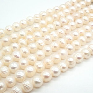 yő50%It X[p[SALEz y177. Wp[ r[Y |eg^ T[N 6.5mmz 1A   W^ i obN