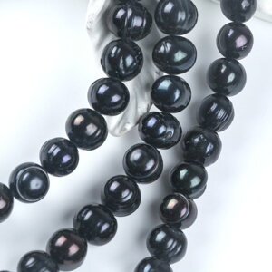 yCz y188. Wp[ r[Y |eg^ 9-10mmz Ai18cmjubN  W^ i