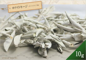 ホワイトセージ10gカリフォルニア産【メール便不可・卸価格】