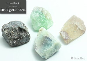 ჉_̔t[Cg΁@50`59g@3~3.5cmy[֔sz