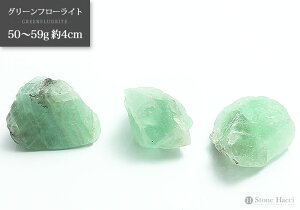 ჉_̔O[t[Cg΁@50`59g@4cmy[֔sz