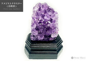 1_uWYAWXgNX^[tA9(d:532g/s:55.4mm/:61.8mm/:94.2mm)Zbg:12.6cm/9.8cm/s9cmy[֔sz