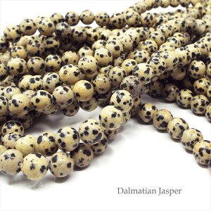 VR r[Y _VA WXp[ A 6mm p[Xg[ nhCh ANZT[