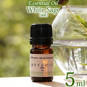 �y���Y�z���C�g�Z�[�W 5ml�z�y�󏭁z�z���C�g�Z�[�W ���Y ���R�͔| 5ml �G�b�Z���V�����I�C�� ���� ���_�� ���Y�� �I�[�K�j�b�N White sage Essential Oil Salvia apiana �z���C�g�Z�[�W