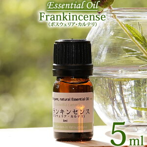 yJe 5mlztLZX {XEFAEJe 5ml GbZVIC  I[KjbN Frankincense Essential Oil Boswellia carterii jERE