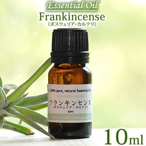 yJe 10mlztLZX {XEFAEJe 10ml GbZVIC  I[KjbN Frankincense Essential Oil Boswellia carterii jERE