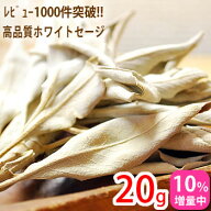 【10％増量中】ホワイトセージ 20g 浄化用 無農薬/高品質 カリフォルニア産 天然石 パワーストーンの浄化…