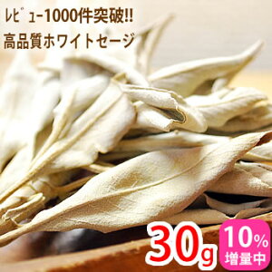 y10ʒzzCgZ[W 30g 򉻗p _/i JtHjAY VR p[Xg[̏򉻂 NX^[^Cv