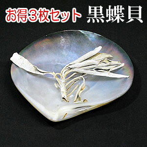 ēׁ[3Zbg]Z[WM L 򉻃ObY[VR p[Xg[̏򉻂]zCgZ[WM VR΂Γ 򉻗pzCgZ[W̍M L VF