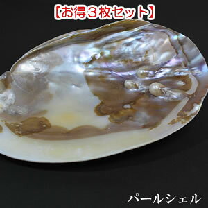 [3Zbg]Z[WM p[VF 򉻃ObY[VR p[Xg[̏򉻂]zCgZ[WM VR΂ 򉻗pzCgZ[W̍M