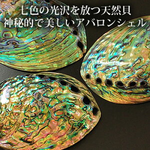 AoVF(ArL) AoVF C{[J[AoVF(ArL) VRL Z[WM 򉻎MƂ 򉻃ObY[VR p[Xg[̏򉻂]zCgZ[WM V