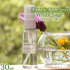 yJtHjAYzCgZ[W 30mlzygуTCYzA}Xv[ JtHjAYzCgZ[W _ YY zCgZ[W White sage, Salvia apiana [Xv[ aroma spray 