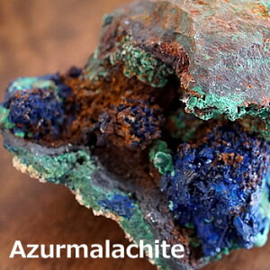 �y��_���z�A�Y�}���J�C�g ���� �V�R�� �p���[�X�g�[�� �A�Y���C�g �A�Y���}���J�C�g