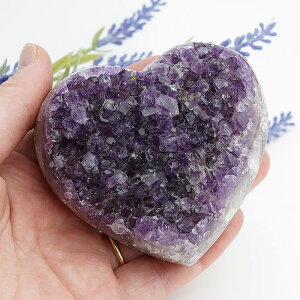 y_zAWXg n[g NX^[  VR p[Xg[ EOACY