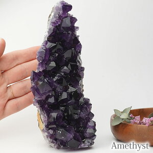 y_zyizAWXg EOACY  NX^[ VR p[Xg[ Amethyst Cluster