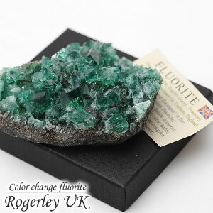 y_zy󏭁zyuzW[t[Cg  NX^[ CMX W[zRYt[Cg J[`FW VR p[Xg[ Rogerley UK color change fluorite