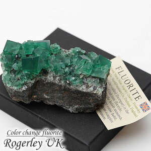 y_zy󏭁zyuzW[t[Cg  NX^[ CMX W[zRYt[Cg J[`FW VR p[Xg[ Rogerley UK color change fluorite