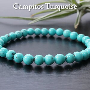 y2{zy󏭁zynCNIeB[zVRF^[RCY LVRELsgXzRY 6mm uXbg VR p[Xg[ VR^[RCY LVJ^[RCY gR 12