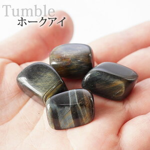 z[NAC ^u 1 CeA u z[NXAC VR p[Xg[ ^uXg[ u[^CK[AC ڐ Ֆڐ hawk's eye