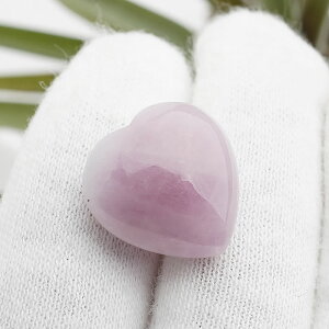 yʌzNc@Cg n[gXg[ 1 VR p[Xg[ u CeA n[g