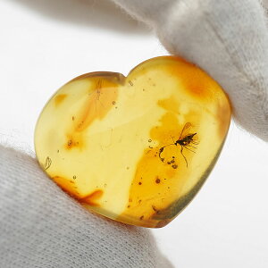 �y��_���z�y�󏭁z��4000���N�O�̏����ނ̎��������Ή������L�@�� �V�R���������� �A���o�[ ���[�X �n�[�g �o���g�C�Y