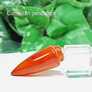 J[lA yf J[lA VR p[Xg[ J[lA yW VR΃yW p[Xg[yf