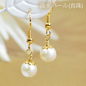 Wp[(W^) zCg 8mm sAX COiS[hj VR p[Xg[