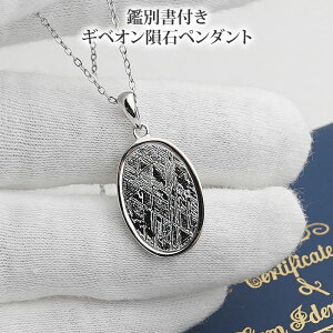 yӕʏtzyʌzMxI覐 eICg 20×14mm y_ggbv lbNX VR p[Xg[ 覓S S覐 gibeon meteorite SV925