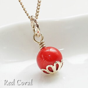 bhR[8mm S[hJ[ hbvlbNX y_ggbv lbNX VR p[Xg[ bhR[ ԎX  X Ԑ