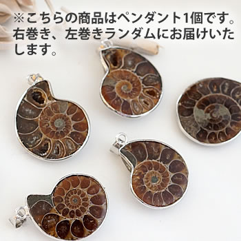 【１個】アンモナイトの化石のペンダント ペンダントトップ ネックレス 天然石 パワーストーン ammonite | ステラガーデン in 八ヶ岳