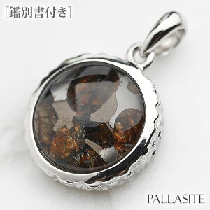 pTCg VR覐 SV925 y_ggbv lbNX VR p[Xg[ Pallasite eICg