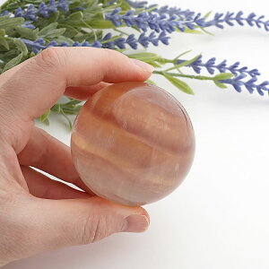 y_zLfB[J[ t[Cg ۋ XtBA VR p[Xg[ u CeA