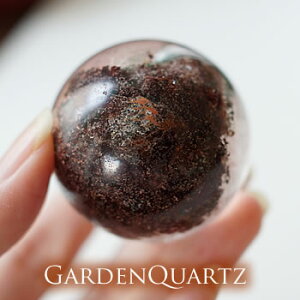 y_́zK[fNH[c ۋ XtBA VR p[Xg[ K[fNH[c u CeA K[fbNNX^ ې 뉀