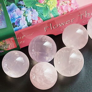 yʌElłdz[YNH[cigj 20`24.9mmij ۋ XtBA VR p[Xg[ [YNI[c u CeA